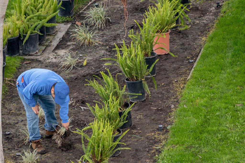 Apollo Wood products and mulch with landscaper working