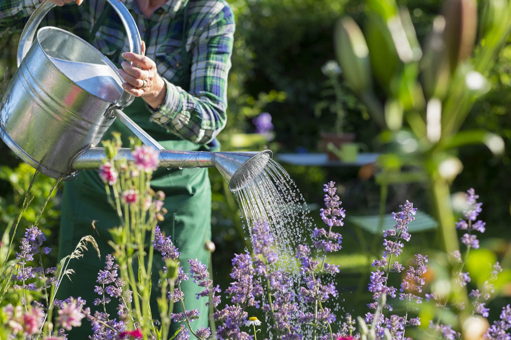 Apollo Wood Products - Keeping Your Garden Cool
