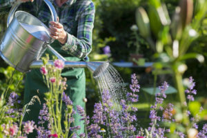 Apollo Wood Products - Keeping Your Garden Cool