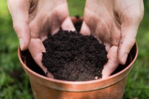 Apollo Wood Products - Mulch's Lifespan