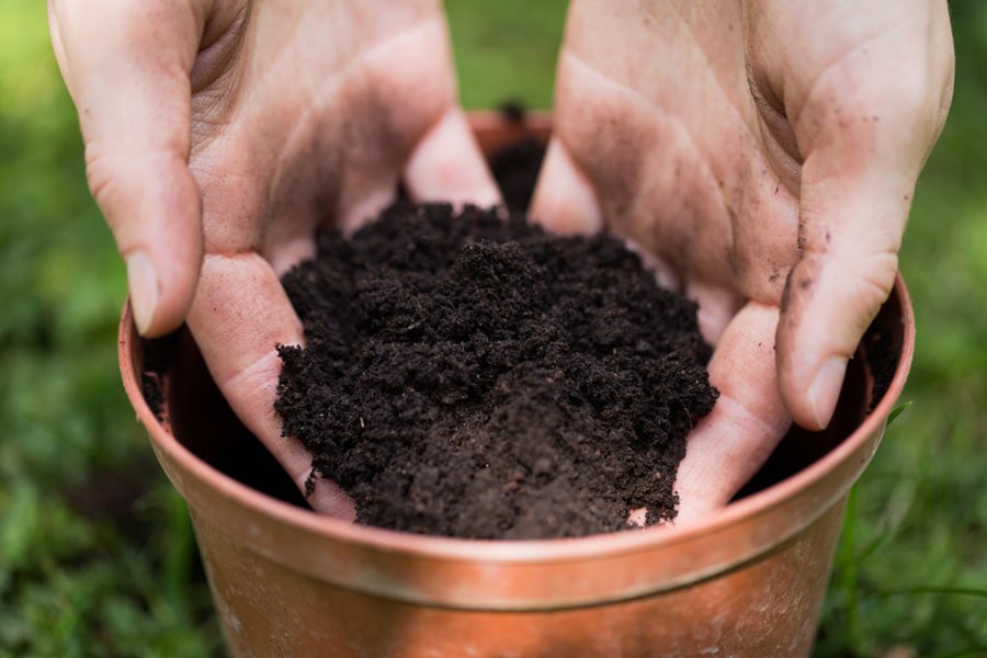 https://apollowoodproducts.com/wp-content/uploads/2022/08/potting-soil-potting-soil-in-pot-dirt-in-pot-shutterstock-com_15947.jpg