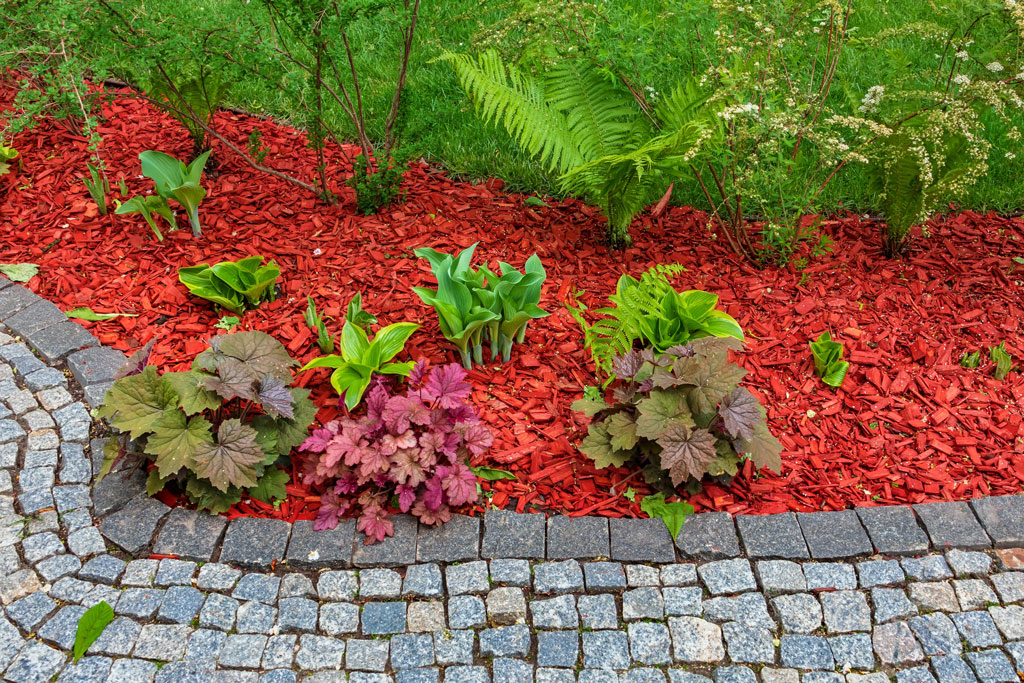 Apollo Wood Products - Colored Mulch